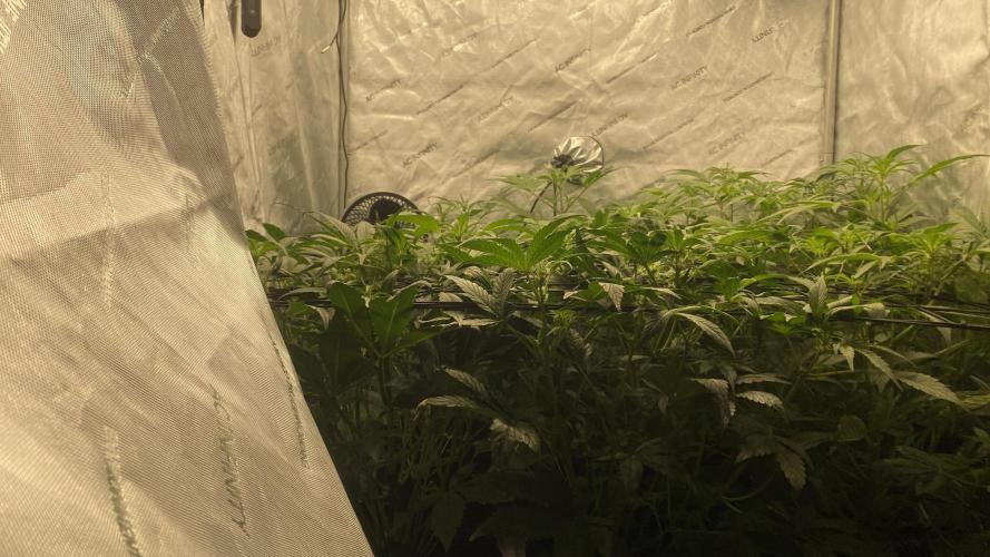 Hermi “experiments”. Week 5