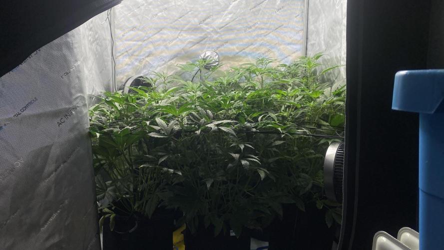 Hermi “experiments”. Week 6