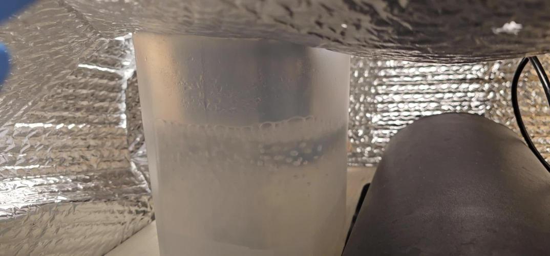 The Teresa Palmer Experiments - #HydroSol Grow + H202. #Monkey SlapZ - PreyBirdFarms.#The Future - DC. Freaky Pablo (Pablo P)  - TerpYz