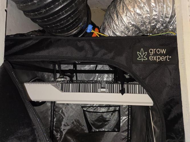 Bubblegum Femaleseeds. Week 12 - 30/03/2026
Installed the second Gativa CT E2000!