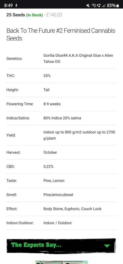 #MAC1 #BackToTheFuture DWC Grow. Week 1 - 20/05/2026
#Back To The Future Tastebudz