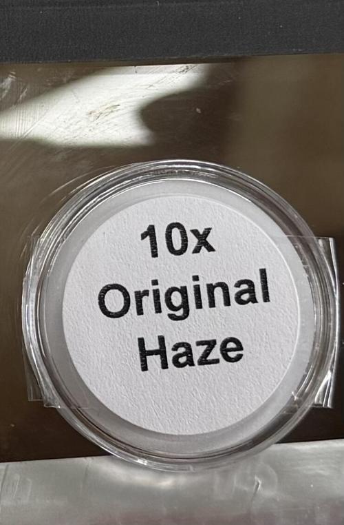 Orignal Haze. Week 0 - Excited for this one. Original Haze from Authentic Genetics