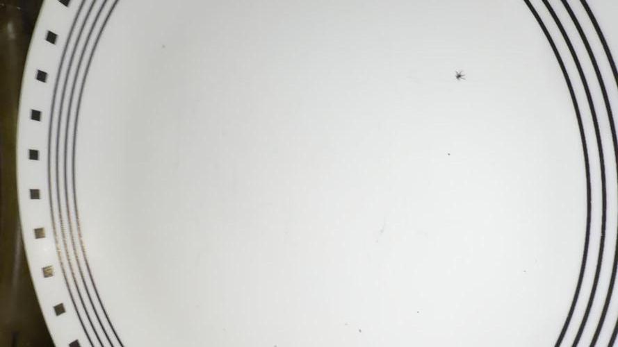 Orignal Haze