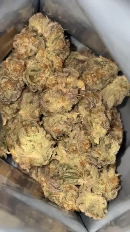 Cookies Gelato (Photo)