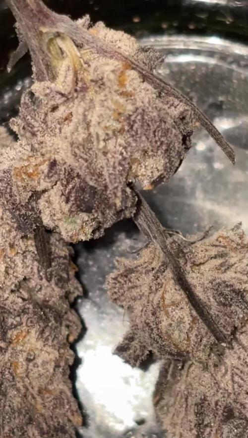 Strawberry frosting #5 S1