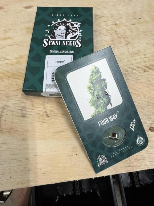 Four Way Project. Week 0 - Bringing back an old school flavor that was straight fire back in the mid 90’s. 