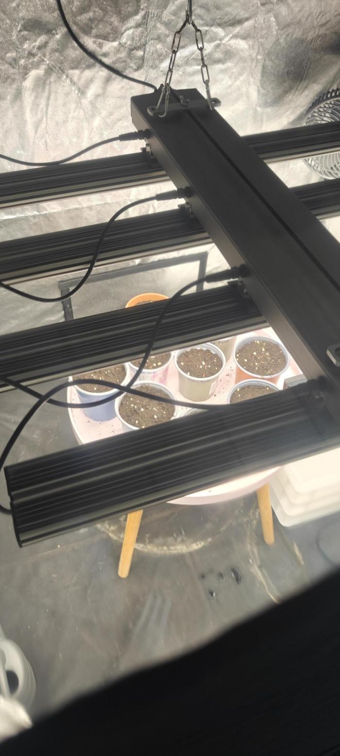 Winter 25/26. Week 0