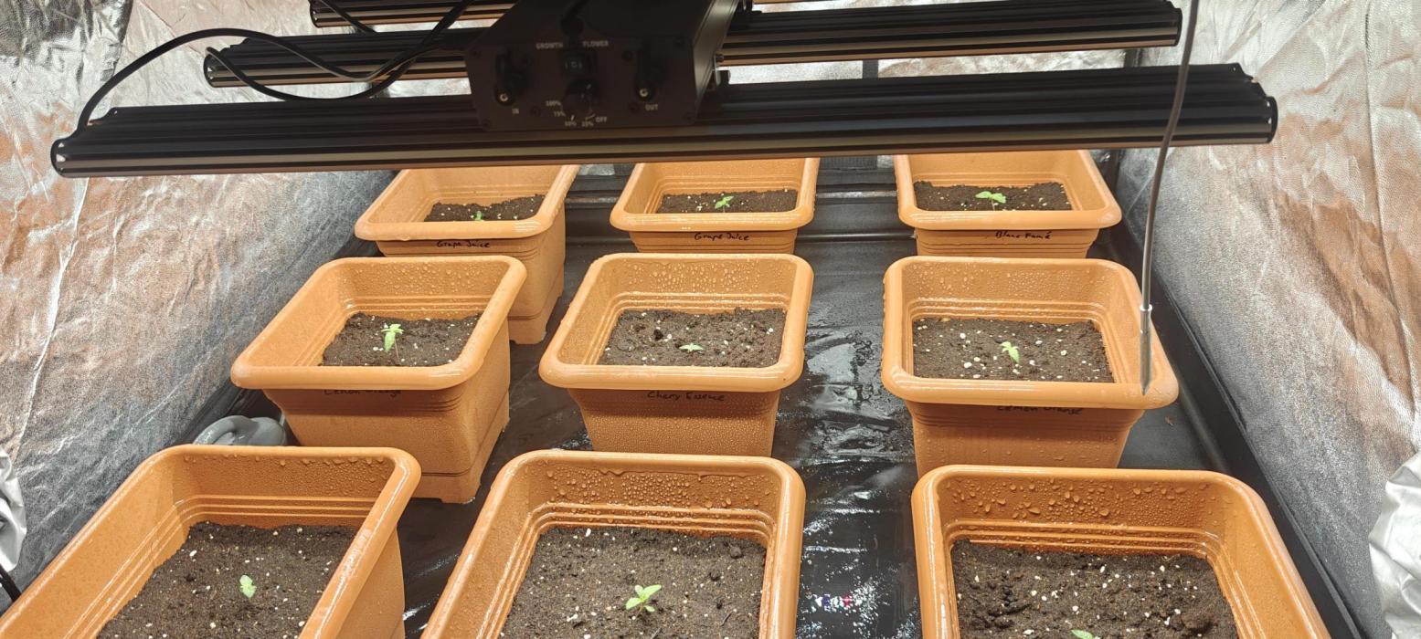 Winter 25/26. Week 2