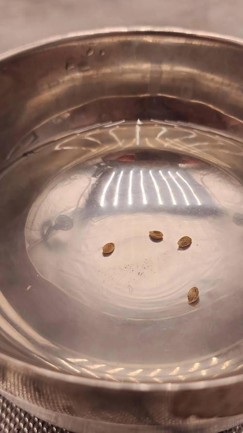 RS11 / GODFATHER TY*PLCG. Week 0 - RS11 