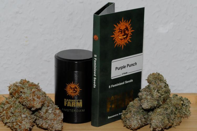 Triangle Project. Week 20