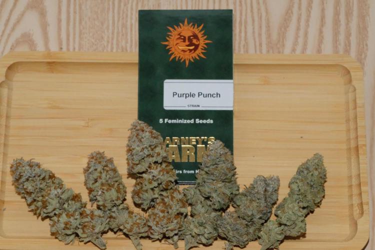 Triangle Project. Week 20