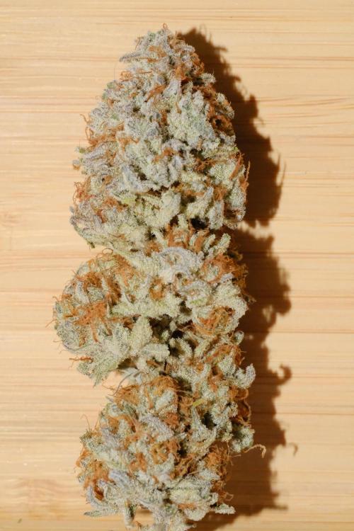 Triangle Project. Week 20 - Berry Punch