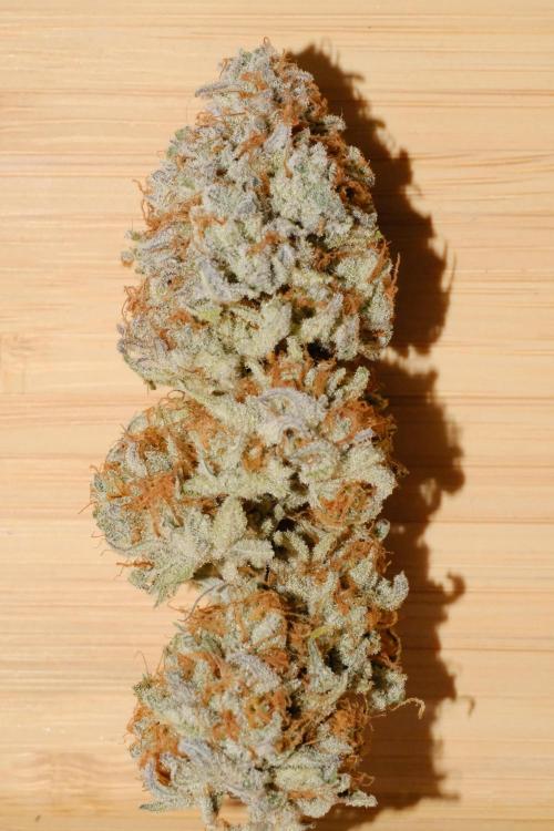 Triangle Project. Week 20 - Berry Punch