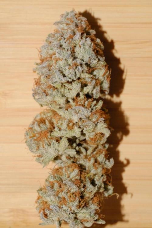 Triangle Project. Week 20 - Berry Punch