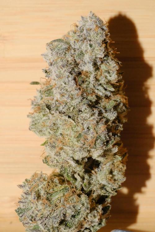 Triangle Project. Week 20 - Frosty Punch