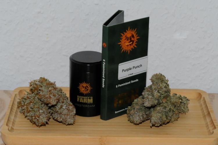 Triangle Project. Week 20