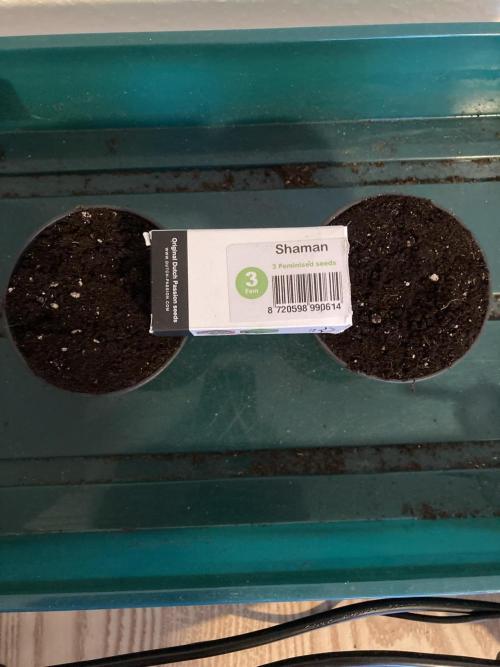 Sativa Triangle Turned Circle. Week 0 - D-3 19.02.26
