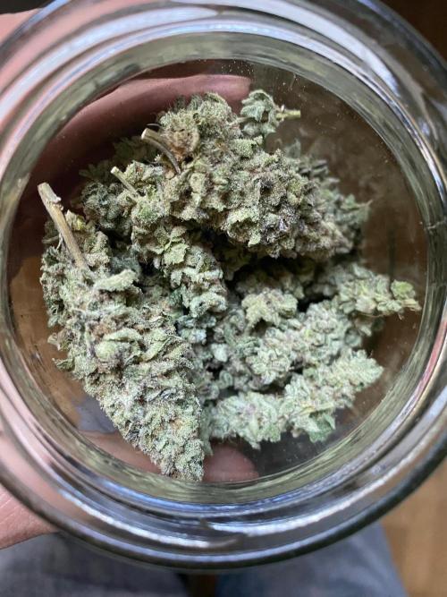 Gassy Bastard / Mambow Juice. Week 18 - MJ #3