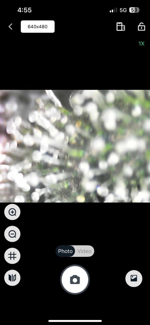 Chicken N Wafflez. Week 11