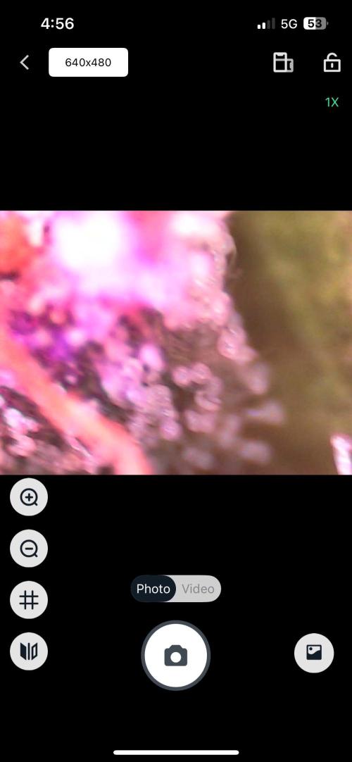 Chicken N Wafflez. Week 11