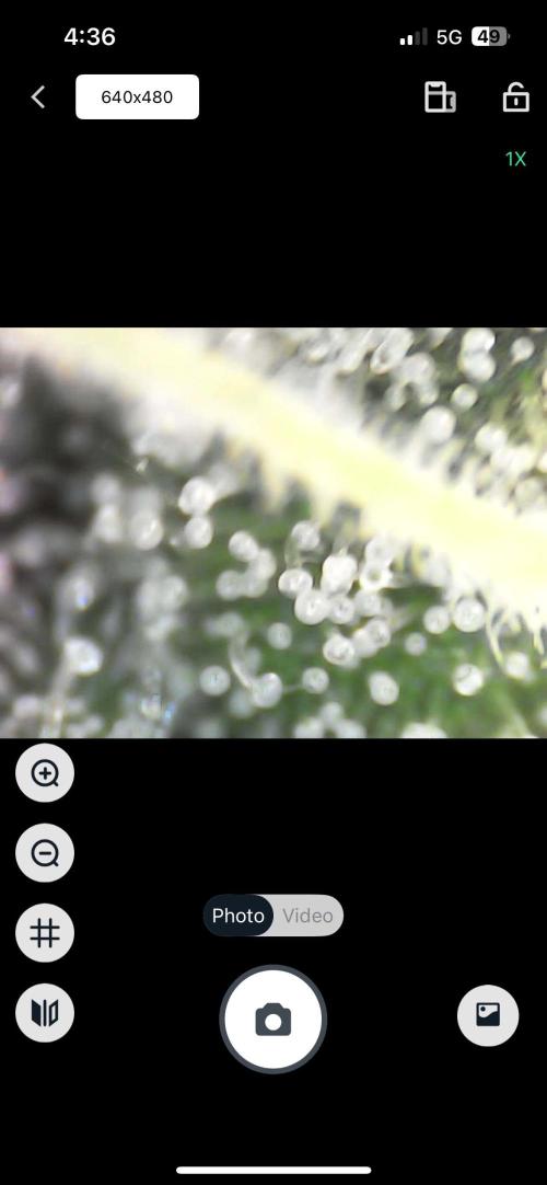 Chicken N Wafflez. Week 11