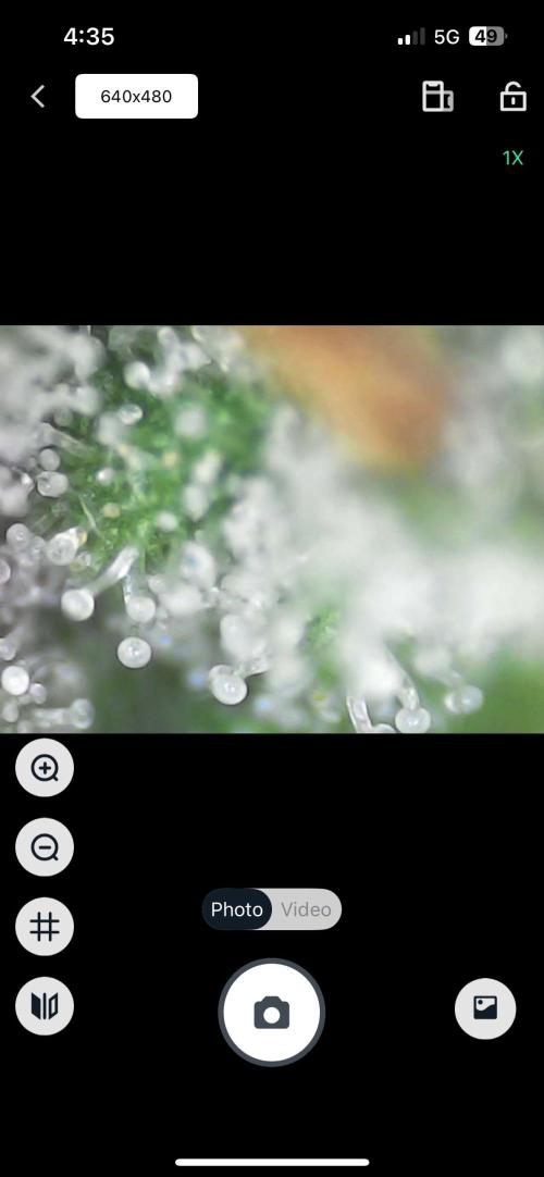 Chicken N Wafflez. Week 11