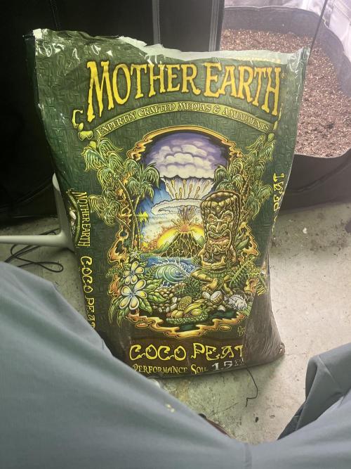 Eternity Cup Sticky Broccoli 🥦. Week 1