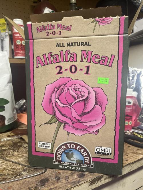 Eternity Cup Sticky Broccoli 🥦. Week 1