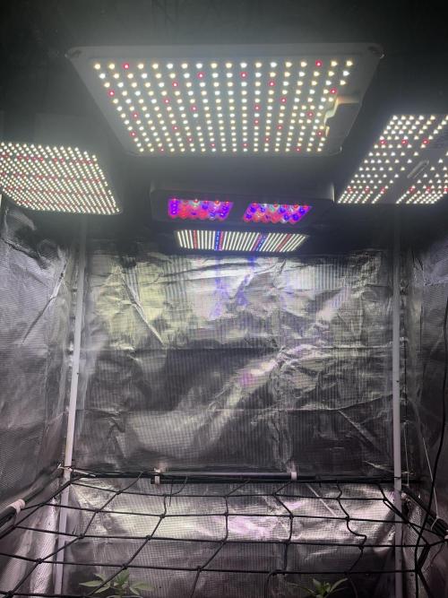 Humboldt PPD . Week 2