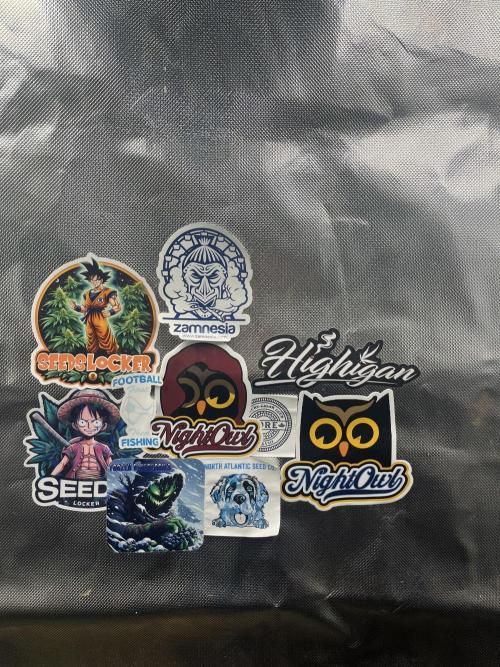 Eternity Cup Sticky Broccoli 🥦. Week 4