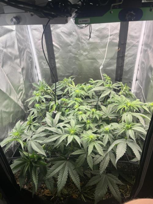 🖊️ Permanent Marker 🖊️. Week 6