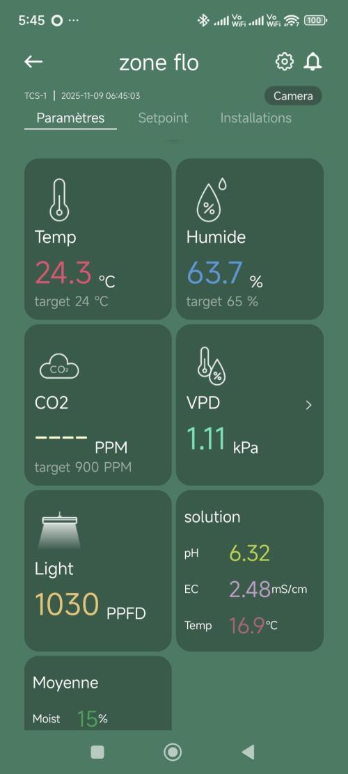 Dognabis#09P. Week 8