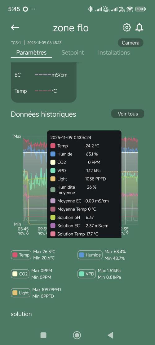 Dognabis#09P. Week 8