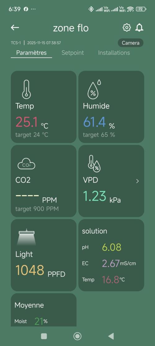 Dognabis#09P. Week 9