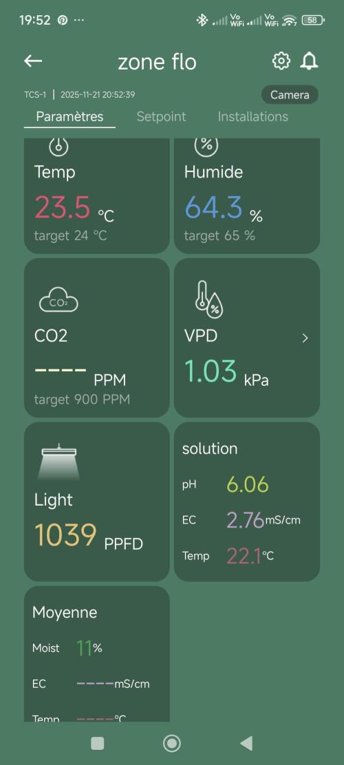 Dognabis#09P. Week 10