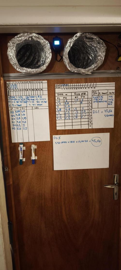 Sticky broccoli 🥦. Week 4 - Setup