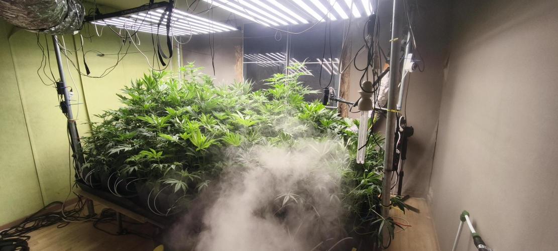 Sticky broccoli 🥦. Week 6