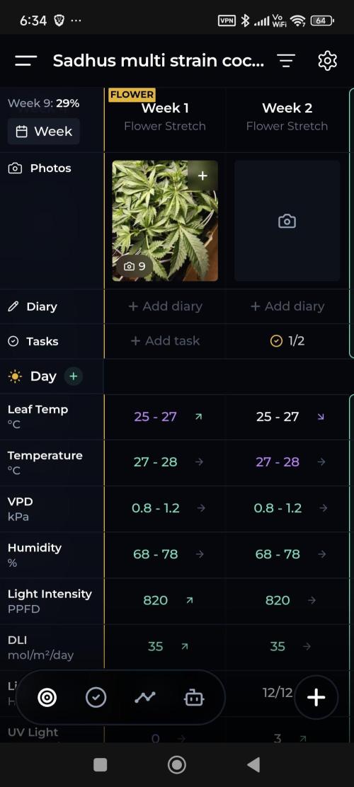 Sticky broccoli 🥦. Week 6