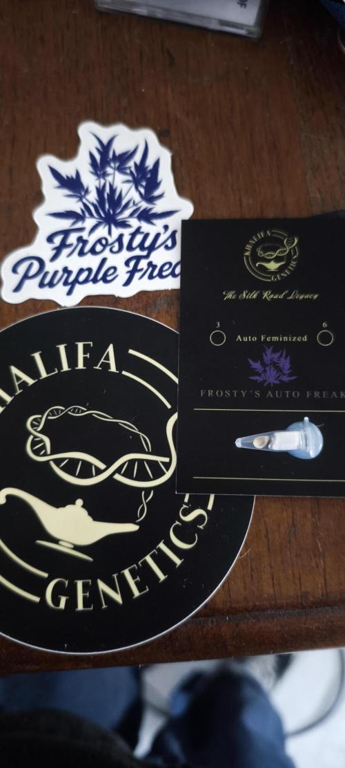 Khalifa fpf auto contest. Week 0