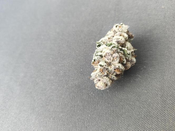 Super Triangle Junky. Week 9 - Platzhalter 