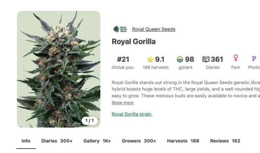 Comment by GrowDiaries photo #1