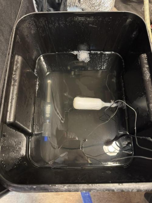 Unicorn Glitter RDWC. Week 2 - 2.11.26 Some Biofilm, foam and stank in the reservoir. 