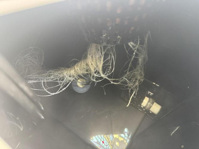 Unicorn Glitter RDWC. Week 4 - Plug 1 roots, wrapping around air lines. 2.22