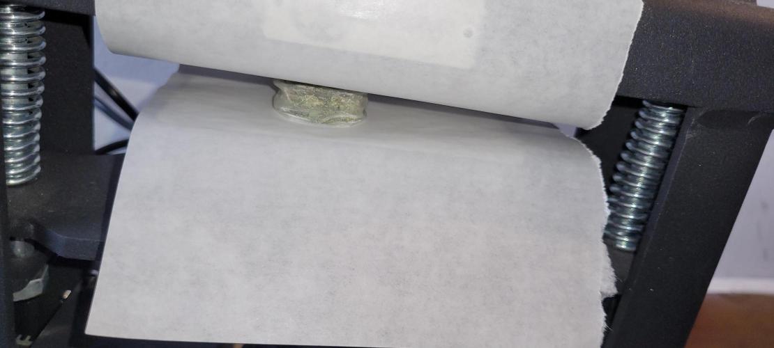 Enton vs. Slugton - Psyeyeyey. Week 12