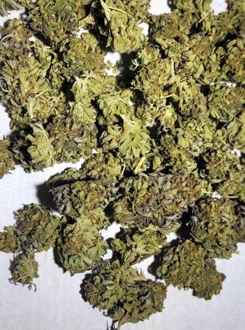 Blue-Eyed White Walker. Week 21 - Wet trim