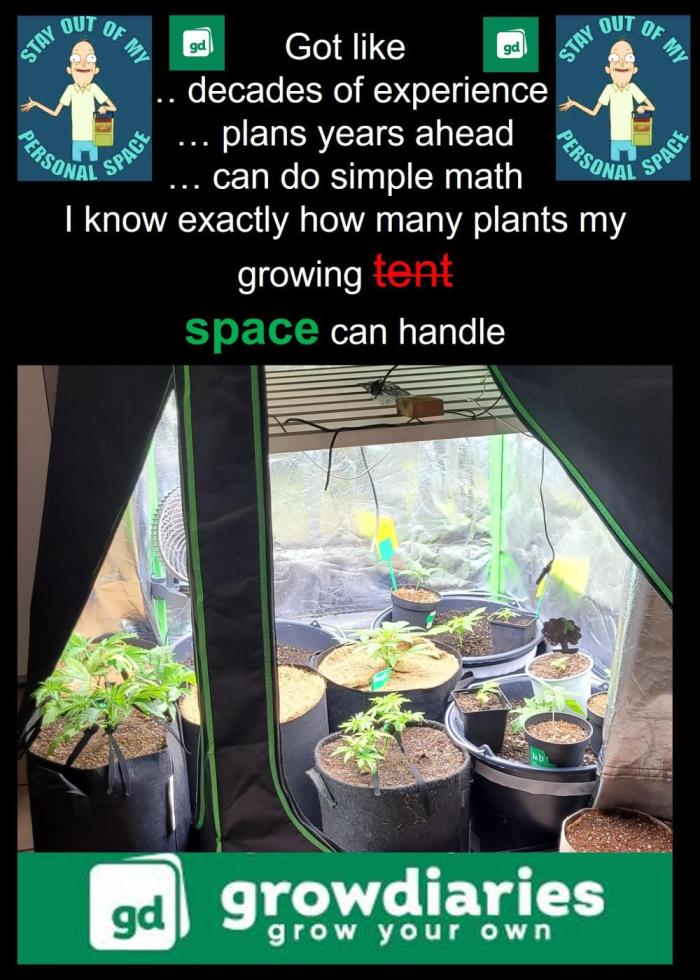 Random Pics. Week 16