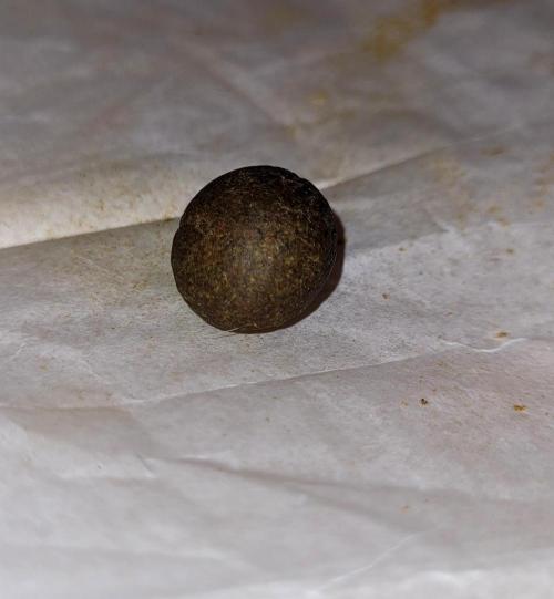 Venom: Infestation - Aphid Rising. Week 13 - Dry sift