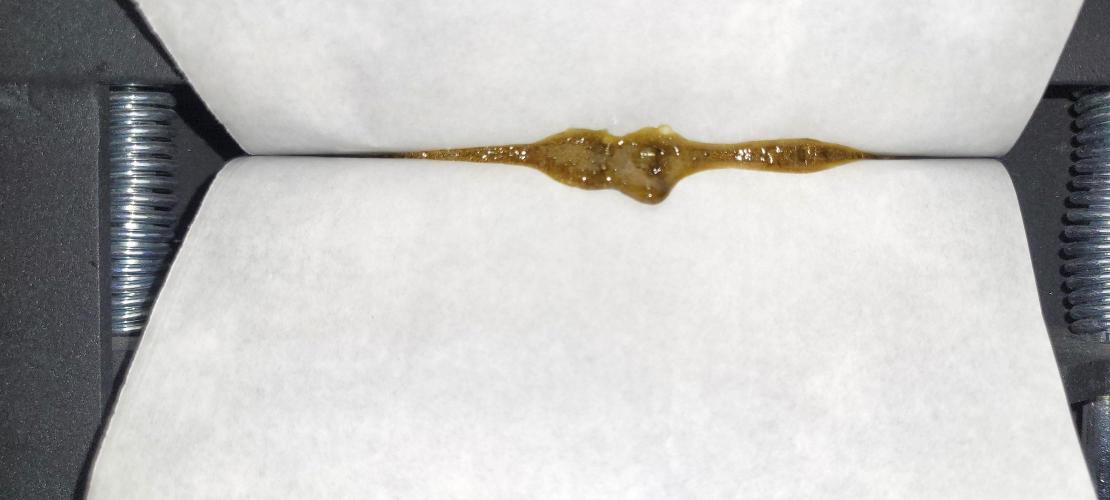 Venom: Infestation - Aphid Rising. Week 13