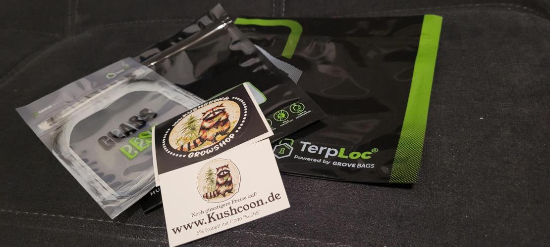 Dexter’s Growbroratory. Week 18