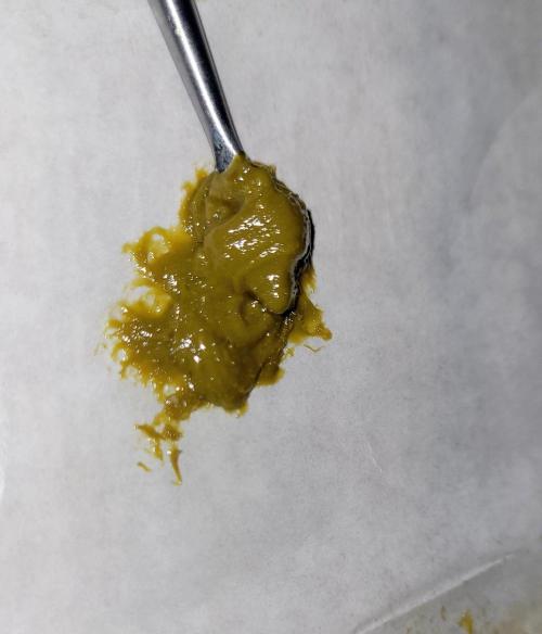 Dexter’s Growbroratory. Week 18 - Whipped